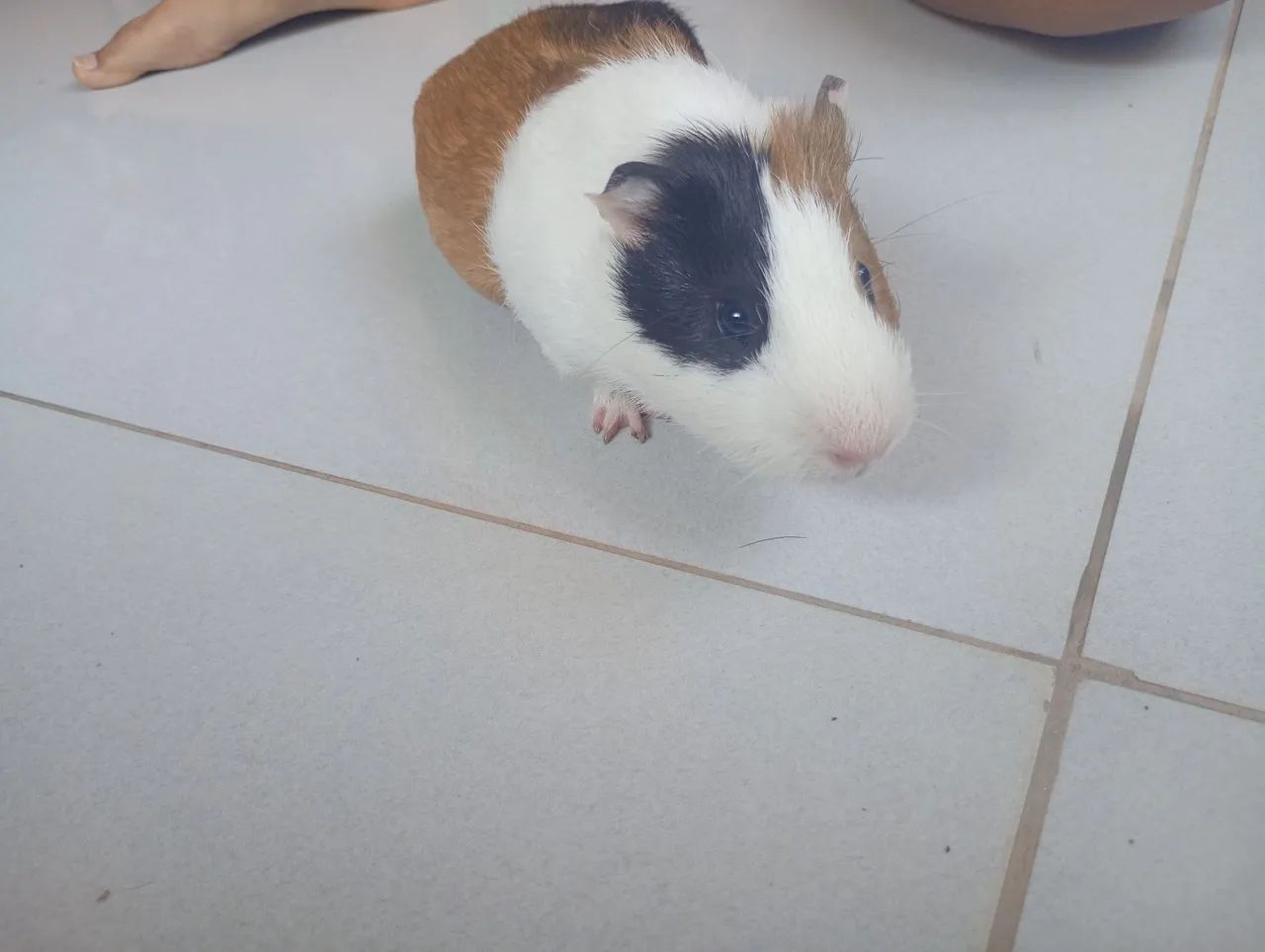 Doação ? - Foto 4