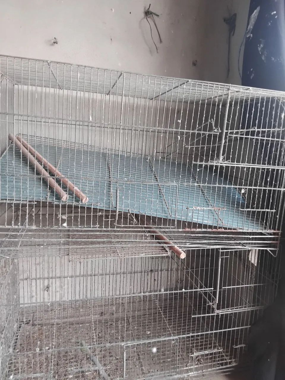 Gaiola para  reprodução de calopisita