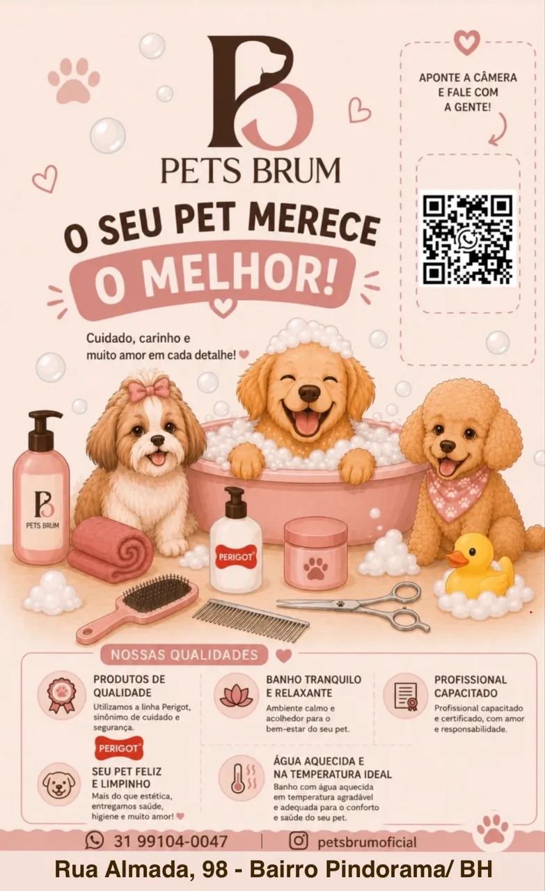 Banho e tosa - Pindorama BH - Foto 4