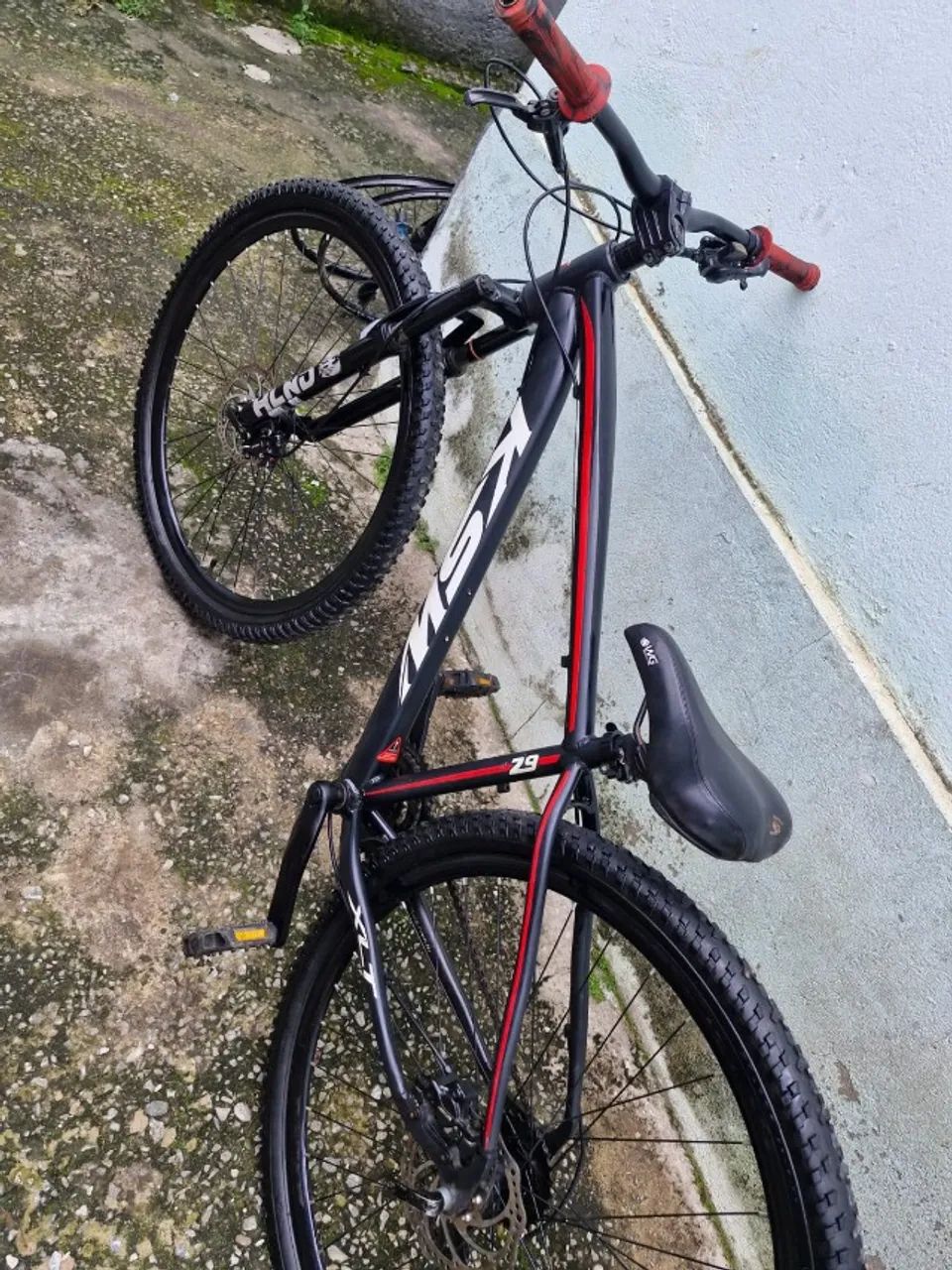 BICICLETA 