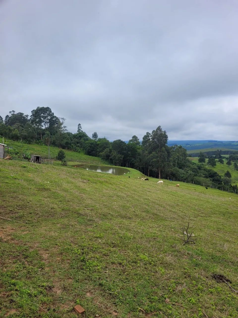 Chácara 2 alqueire com barracão em Ventania Pr - Foto 4
