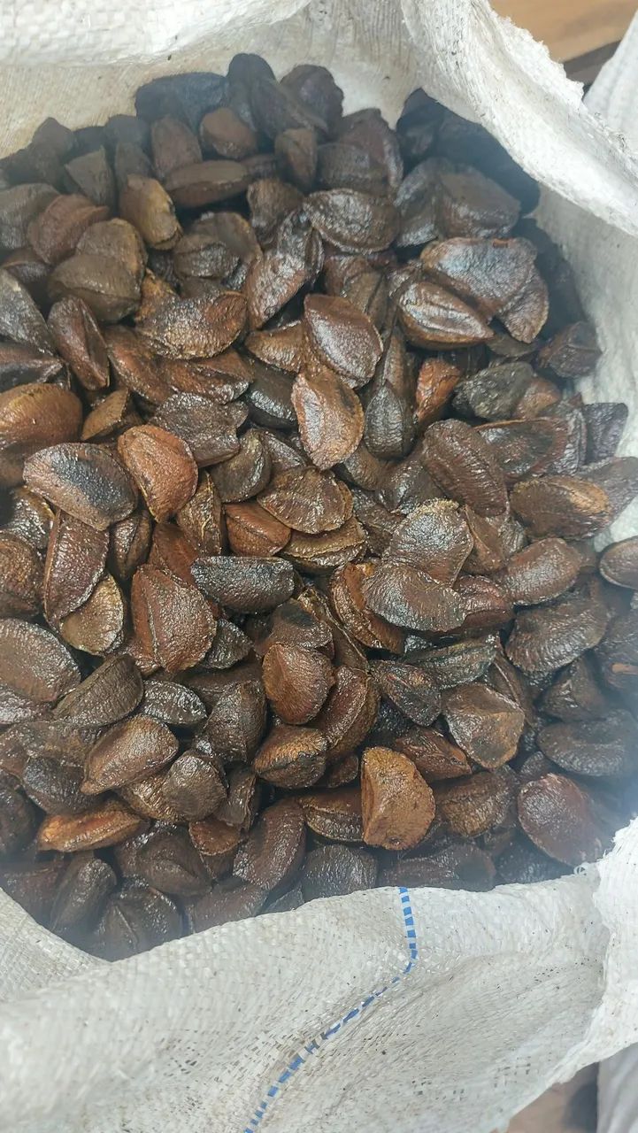 Castanha  - Foto 4