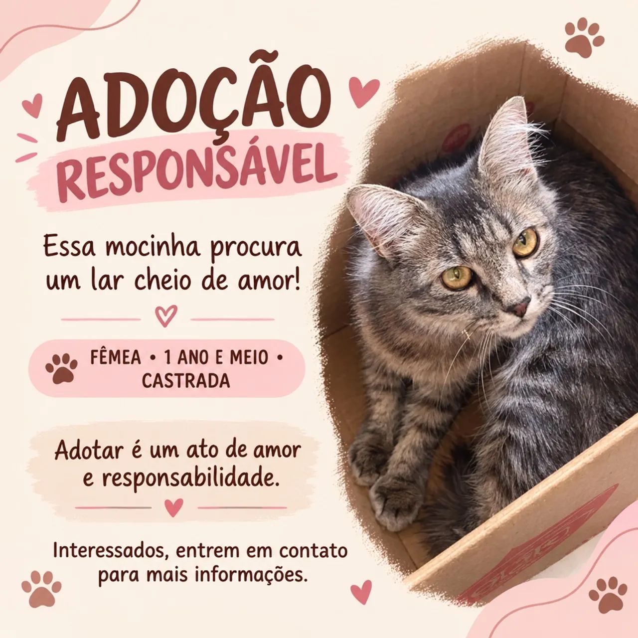 Adoção Responsável 