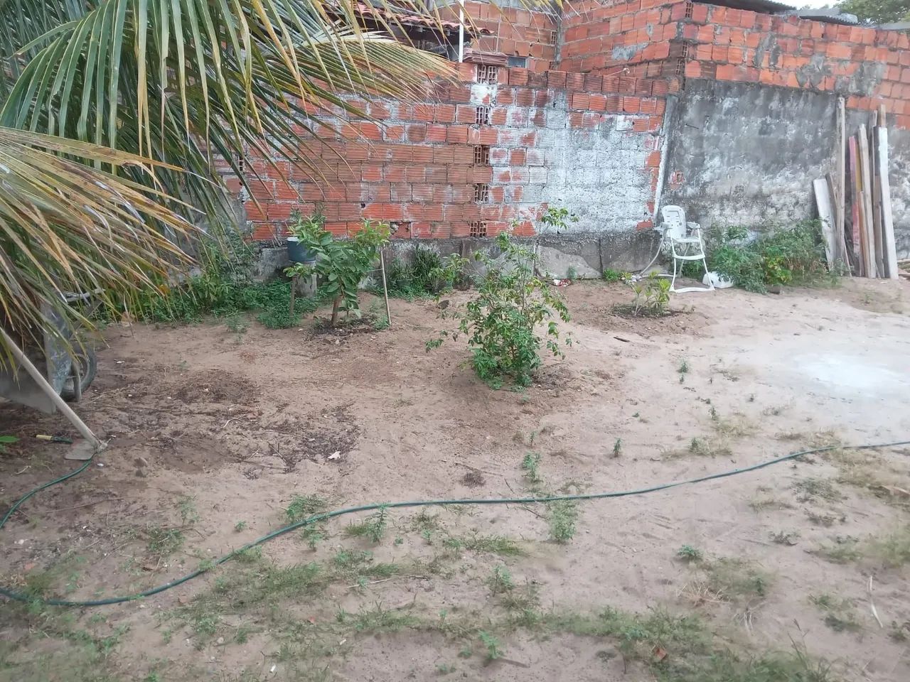 VENDO UMA CHÁCARA  - Foto 4