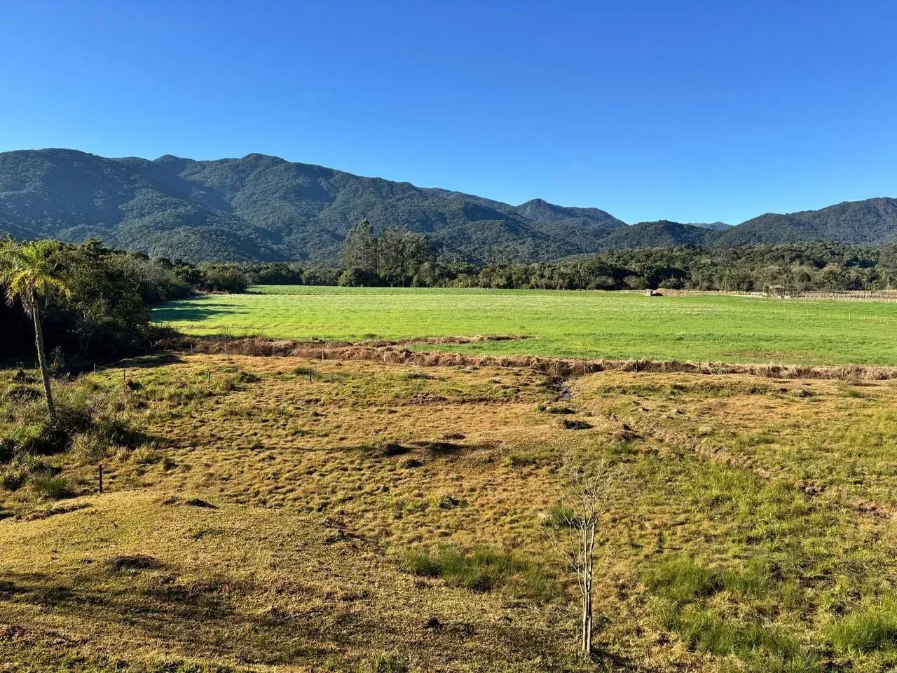 Sitio em Santo Amaro da Imperatriz - SC - Foto 4