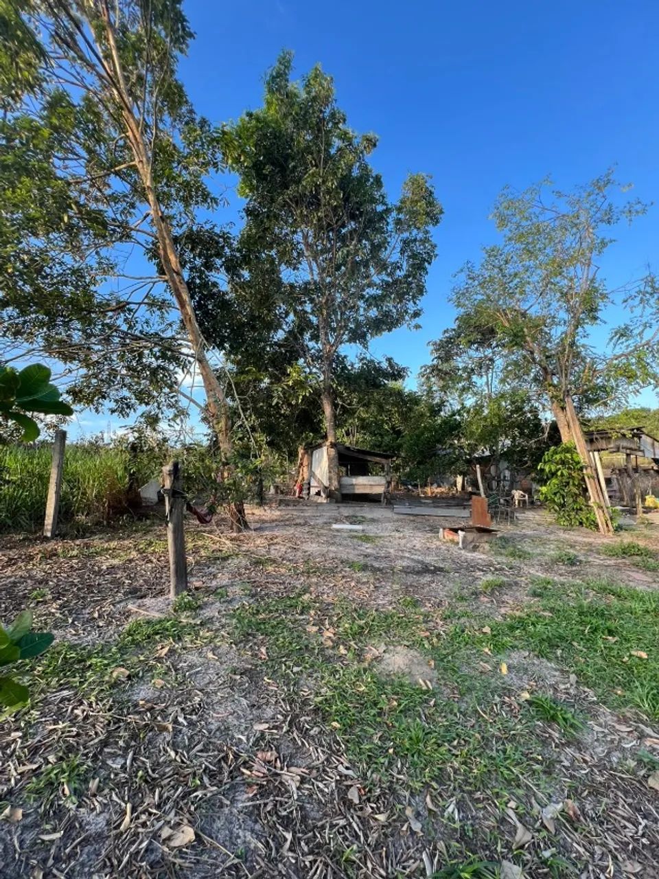CHÁCARA A VENDA EM VILHENA - Foto 5