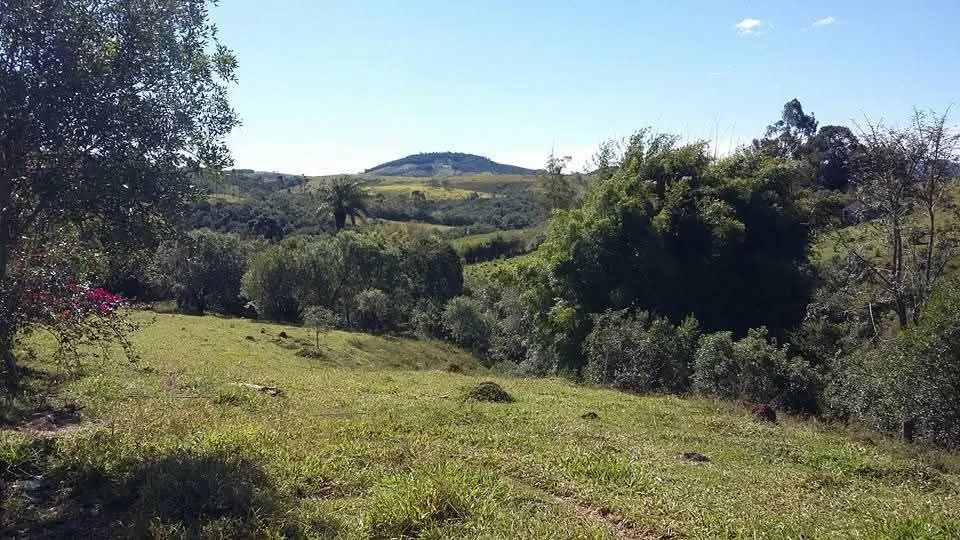 Sítio 8.947 hectares  - Foto 4