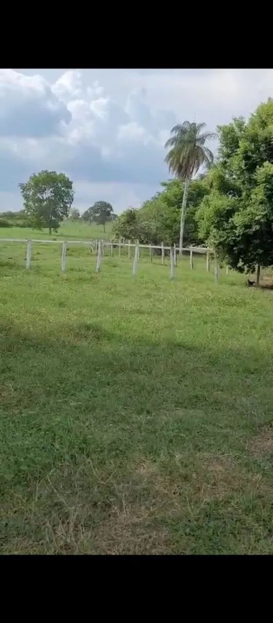 Fazenda no Maranhão  - Foto 4