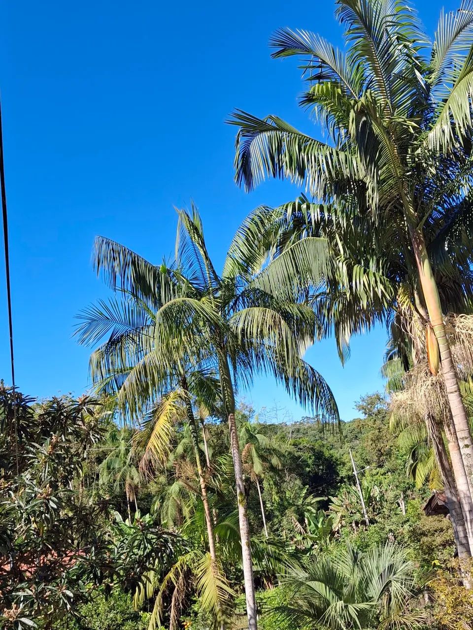 Vendo ou troco por casa em biguaçu 