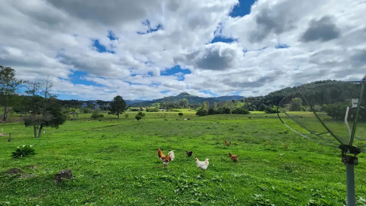 Sítio Pronto Para Morar em Bocaina do Sul - Foto 3