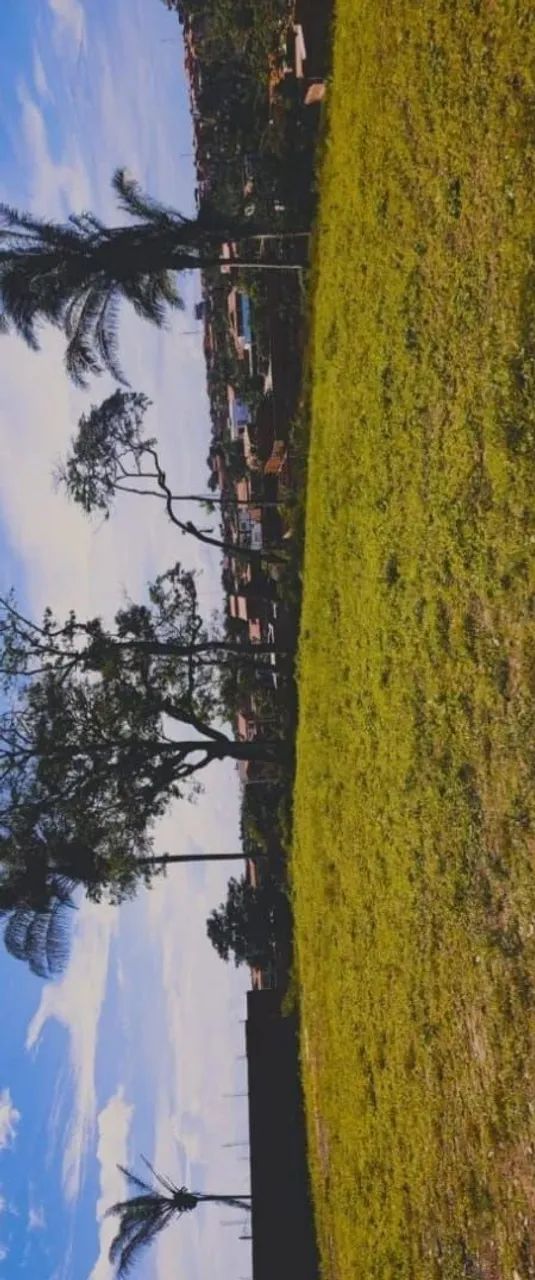 Terreno no Aquiles  - Foto 5