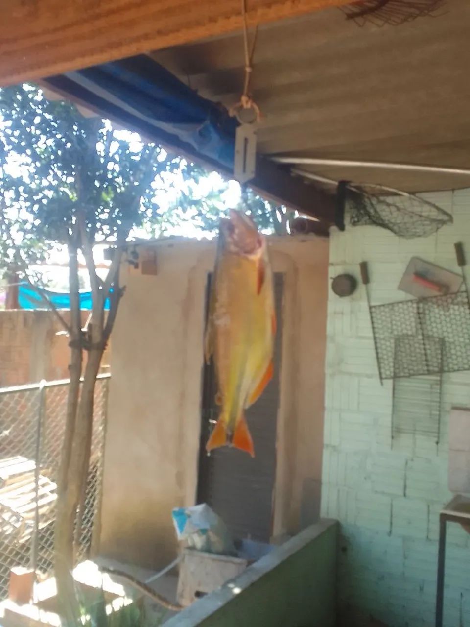 Vendo casa chácara das mansões rochedo ms  - Foto 3