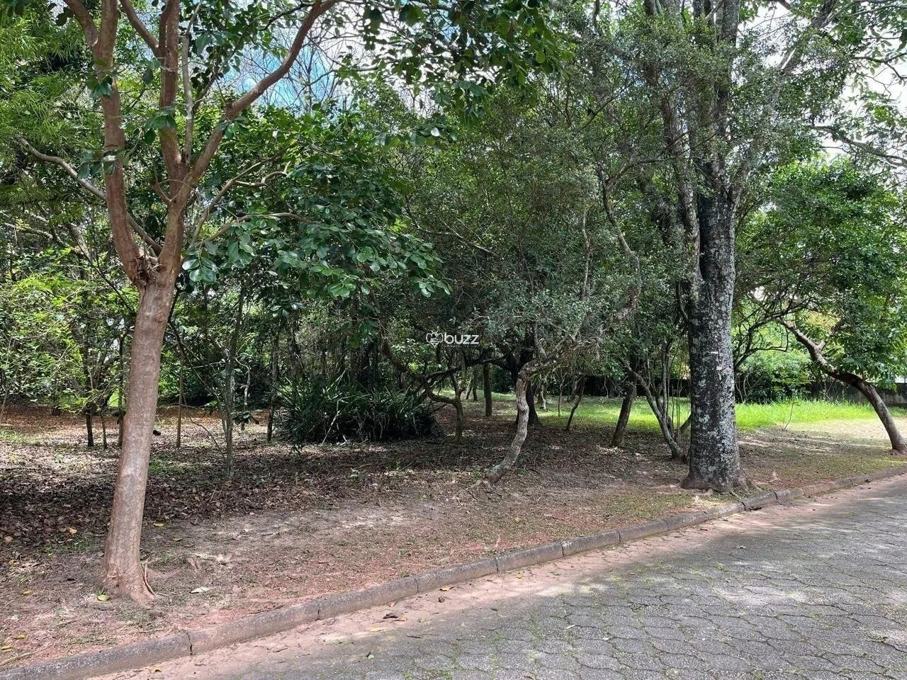 Terreno 780m² em Lagoa da Conceição, Florianópolis - Foto 4