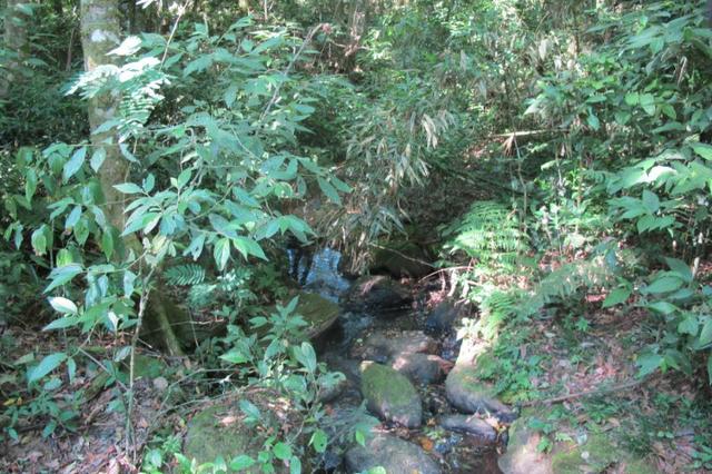 Área imperdível R$100.000,00 o alq. de planta/R$50.000,00 bosque e rio - Foto 5
