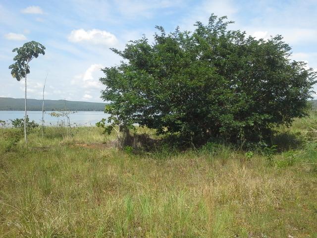 Excelente Área de 51 mil m² C/ 70 metros Beira Lago Km 29 Estrada Lajeado - Foto 6