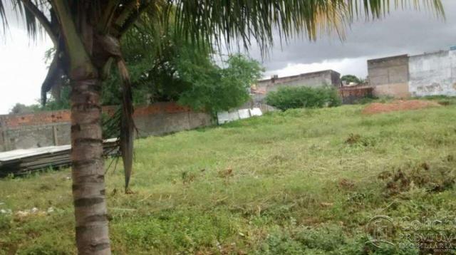 Terreno no Bairro Ponto Novo - Foto 4