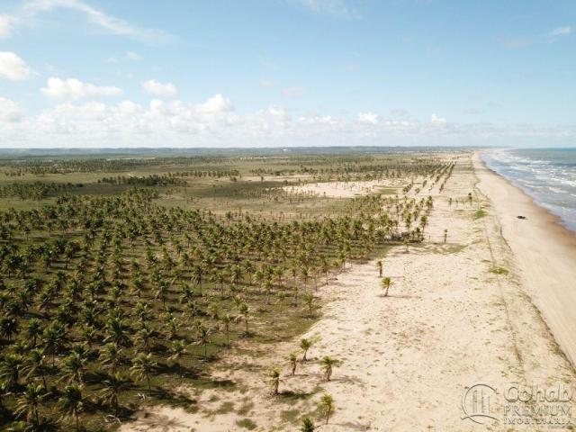 Grande área na barra dos coqueiros, a beira mar