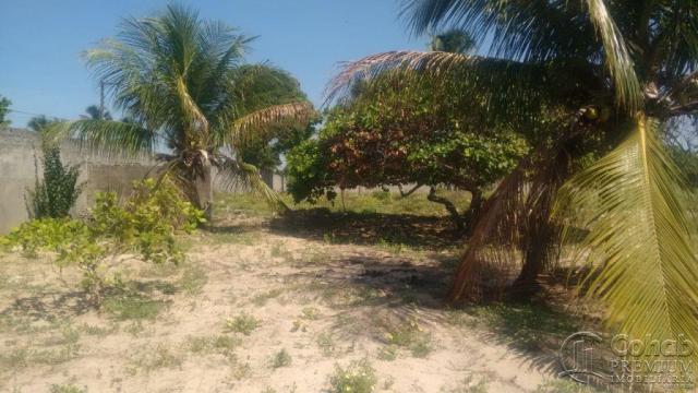 Sitio no povoado são jose - Foto 7