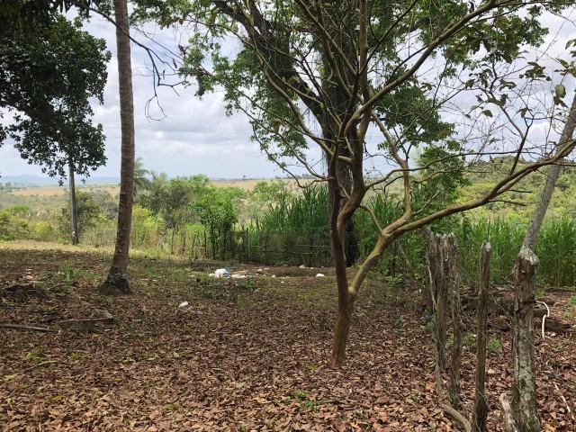 Paudalho=Vend. 500 mil=Sítio com 10 hect=Água,Energia,Piscina e muito mais - Foto 16