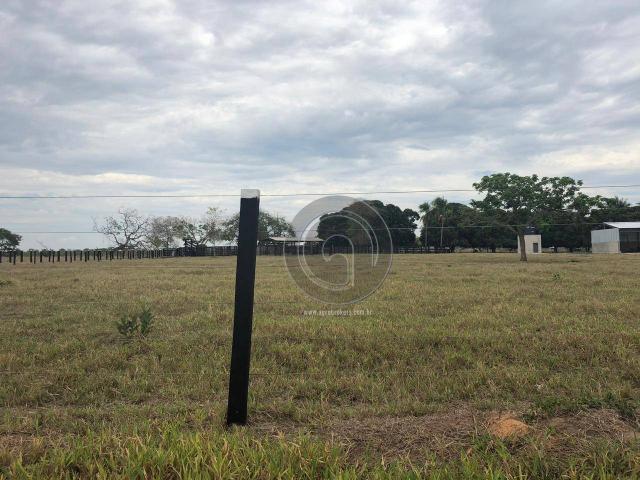 Fazenda 330 ha região chumbo poconé - Foto 4