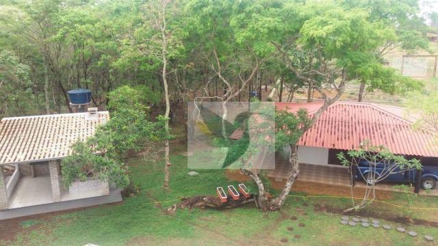 Chácara com 3 dormitórios à venda, 20000 m² por r$ 1.350.000,00 - centro - chapada dos gui - Foto 7