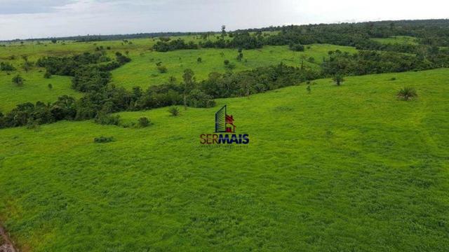 Fazenda à venda, por R$ 40.000.000 - Zona Rural - Rolim de Moura/RO - Foto 10