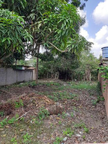 Terreno. - Foto 5