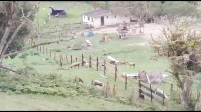 Chácara para venda em campina grande do sul, barra da cruz - Foto 2