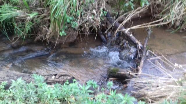 Venda - Foto 2
