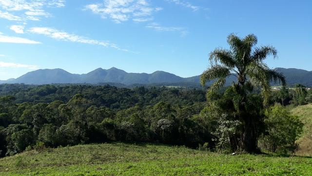 Excelente área rural medindo 70.153 m2, São José dos Pinhais - Roça Velha - Foto 5