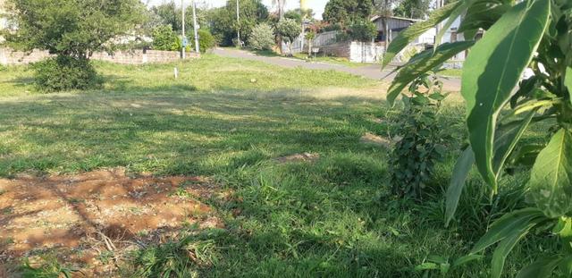 Terreno em ótima localização em Lomba Grande, metragem diferenciada - Foto 2