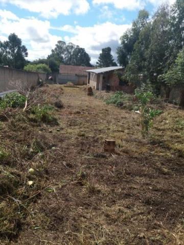 Terreno para venda em quatro barras, jardim das acácias, 2 dormitórios, 1 banheiro - Foto 9