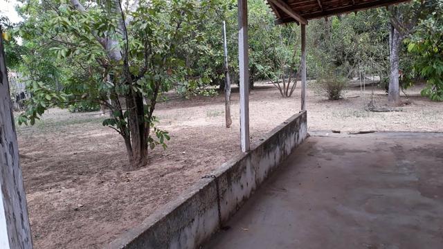 Chácara em Vitorino Freire - Foto 3