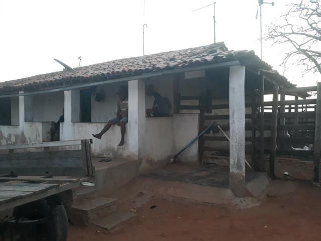 Fazenda Cajazinha * FACILIDADE PARA COMPRAR - Foto 2