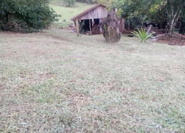 Sítio em Esperança do Sul, RS (AR2125) - Foto 4