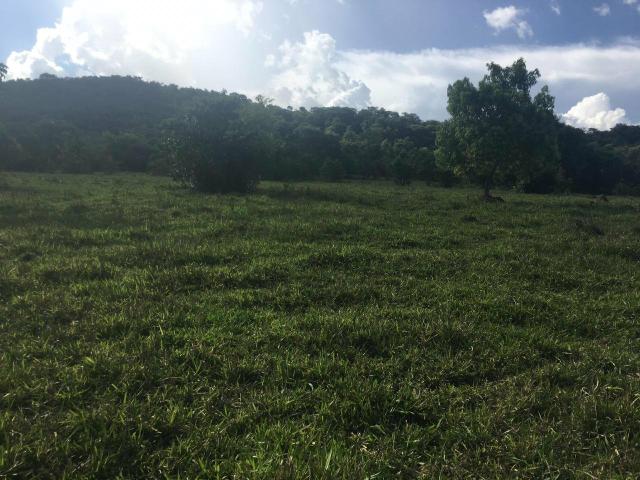 Fazenda Cesarina - Foto 7