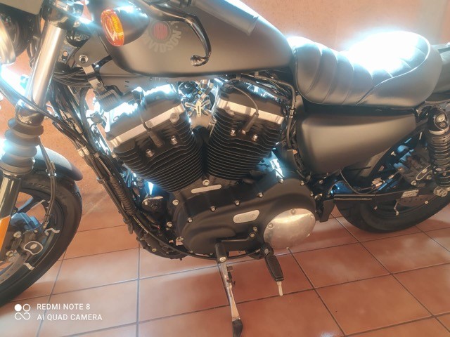 HARLEY IRON 883 2019/2020