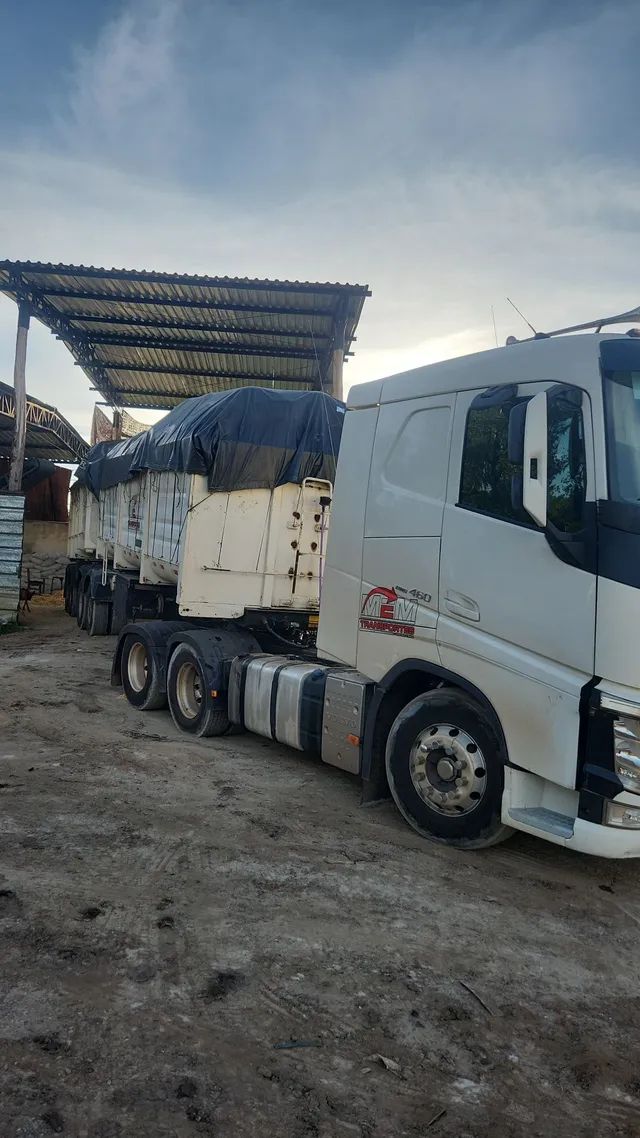 Silagem de milho Ensacada atacado - Foto 6