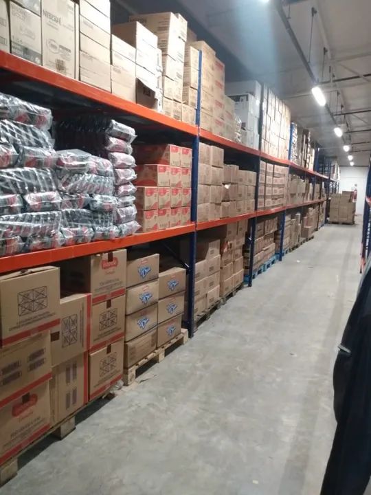 Mini Porta Pallets Usados