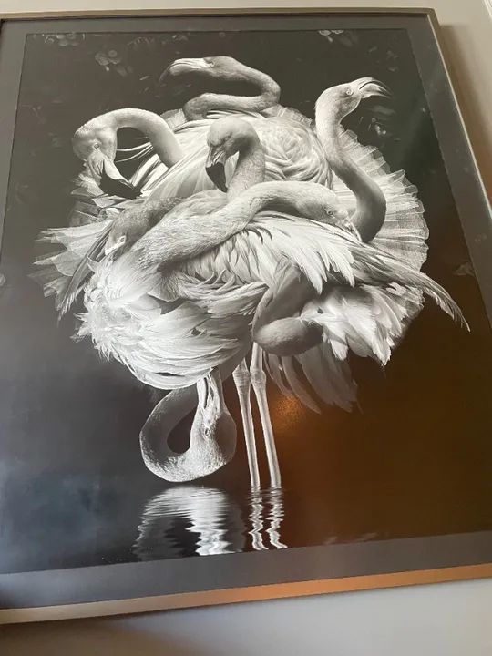 Flamengo - Marcel Van Luit - 80x100cm - Foto 5