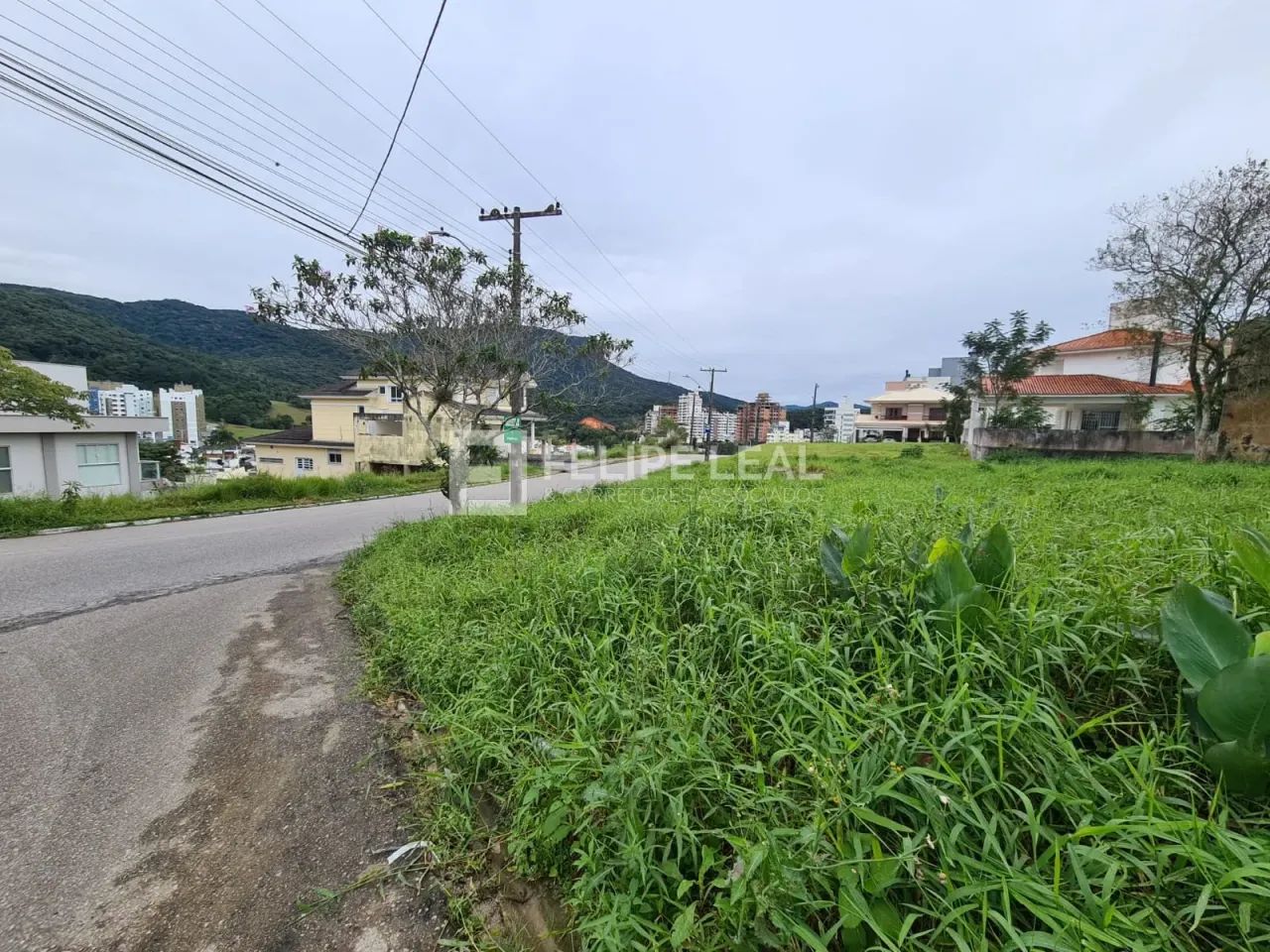 Lote / Terreno em Pedra Branca - Palhoça - Foto 4
