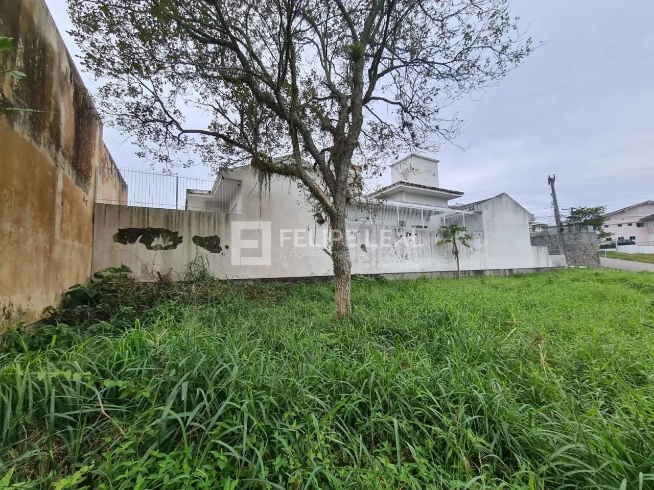 Lote / Terreno em Pedra Branca - Palhoça - Foto 15