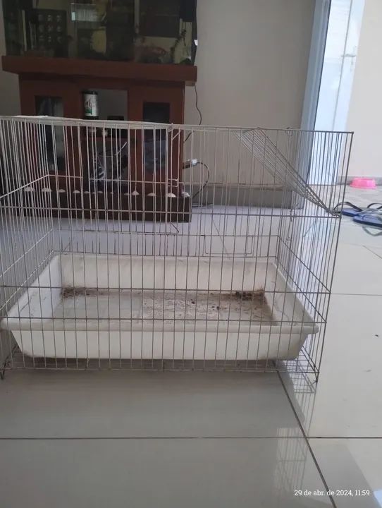 Gaiola para Porquinho da Índia ou Coelho  - Foto 3