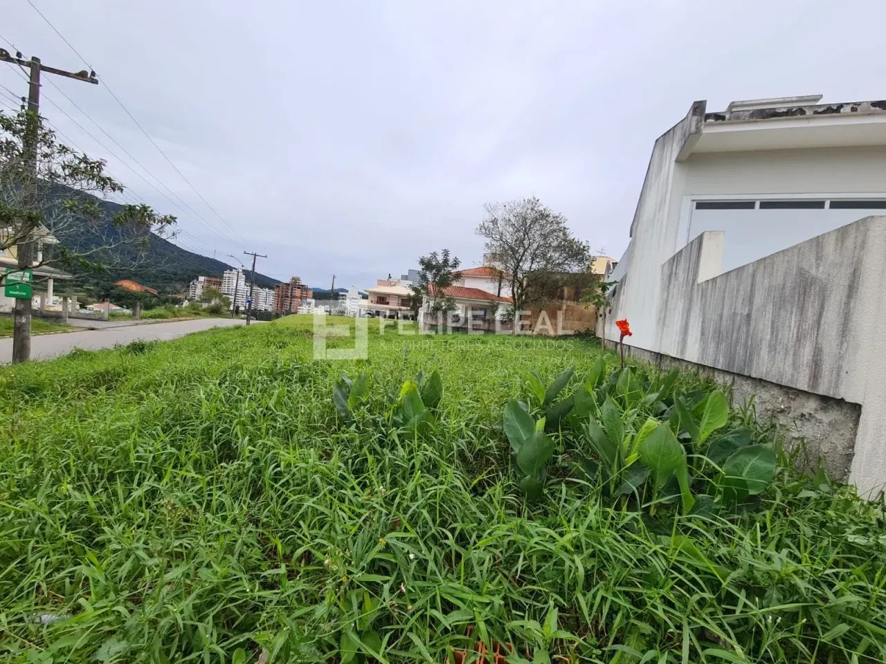 Lote / Terreno em Pedra Branca - Palhoça - Foto 5