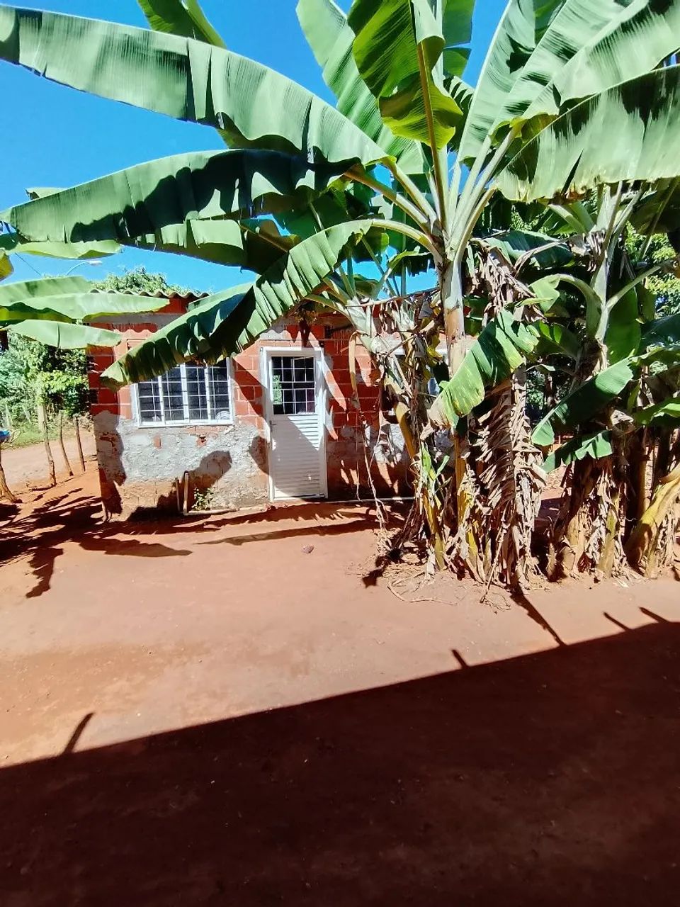 Vende se chácara  - Foto 3