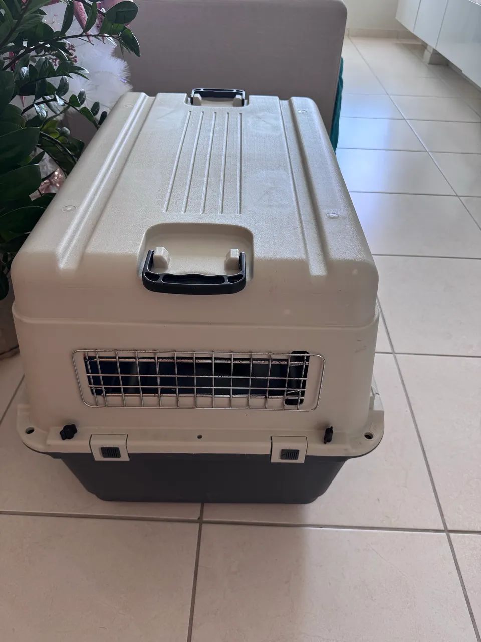 Caixa de transporte para pets64672973835137121