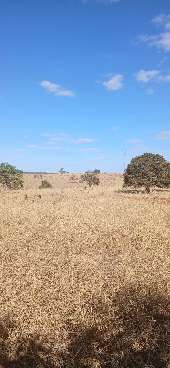 Fazenda Disponível pra Venda......No Estado de Goiás........No município de Luziania. Goiá - Foto 3