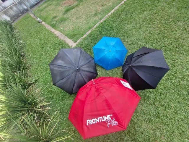 Guarda Chuva Grande - Foto 3