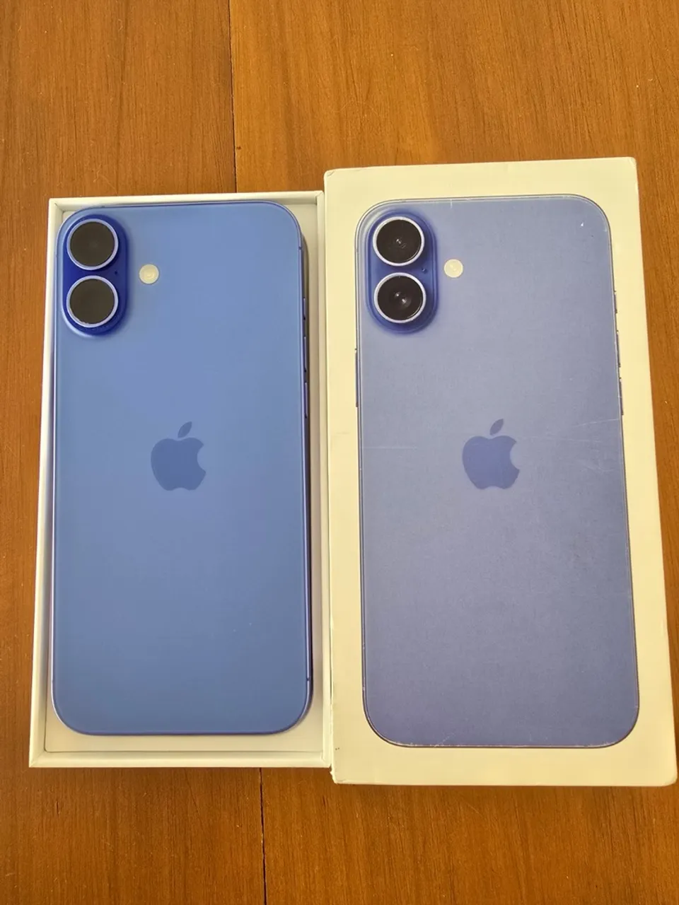 iPhone 16 PLUS (1 mês de uso)