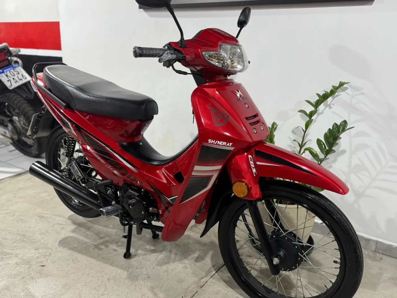 Motos SHINERAY RAY 50 no Brasil